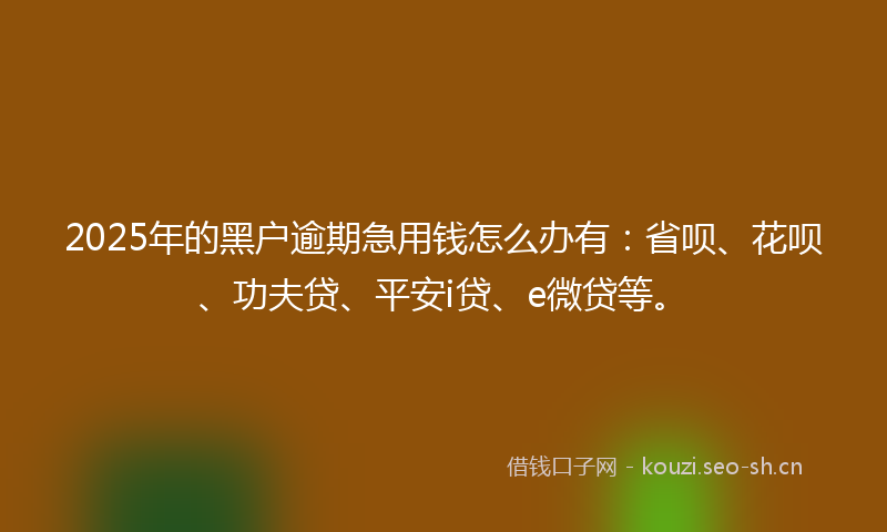 2025年的黑户逾期急用钱怎么办有：省呗、花呗、功夫贷、平安i贷、e微贷等。