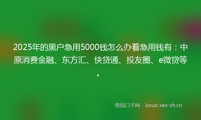 2025年的黑户急用5000钱怎么办着急用钱有：中原消费金融、东方汇、快贷通、投友圈、e微贷等。