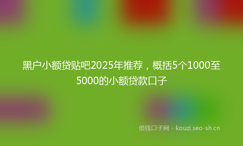 黑户小额贷贴吧2025年推荐，概括5个1000至5000的小额贷款口子