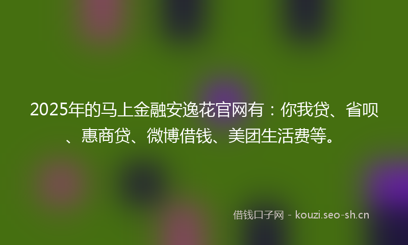 2025年的马上金融安逸花官网有：你我贷、省呗、惠商贷、微博借钱、美团生活费等。