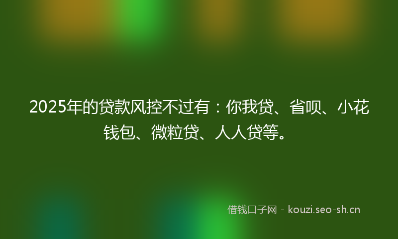 2025年的贷款风控不过有：你我贷、省呗、小花钱包、微粒贷、人人贷等。