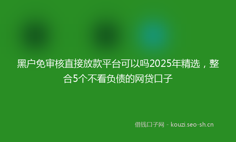 黑户免审核直接放款平台可以吗2025年精选，整合5个不看负债的网贷口子