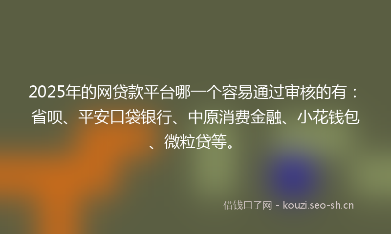 2025年的网贷款平台哪一个容易通过审核的有：省呗、平安口袋银行、中原消费金融、小花钱包、微粒贷等。