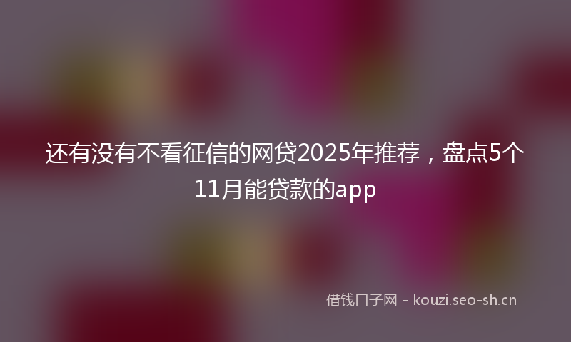 还有没有不看征信的网贷2025年推荐，盘点5个11月能贷款的app