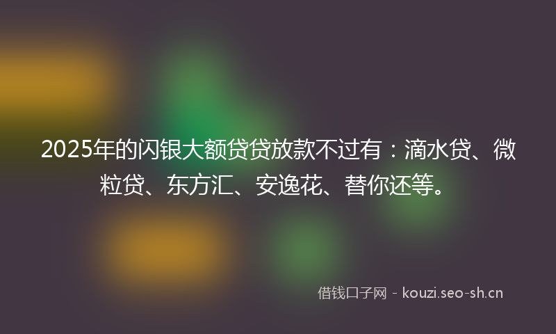 2025年的闪银大额贷贷放款不过有：滴水贷、微粒贷、东方汇、安逸花、替你还等。