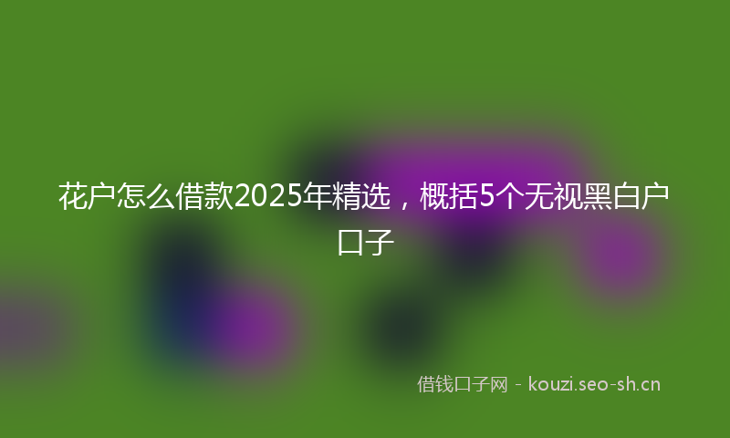 花户怎么借款2025年精选，概括5个无视黑白户口子
