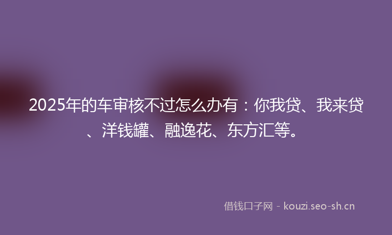 2025年的车审核不过怎么办有：你我贷、我来贷、洋钱罐、融逸花、东方汇等。