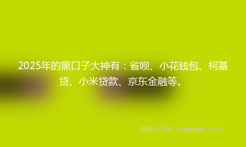 2025年的黑口子大神有：省呗、小花钱包、柯基贷、小米贷款、京东金融等。