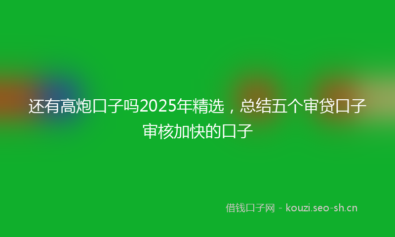 还有高炮口子吗2025年精选，总结五个审贷口子审核加快的口子