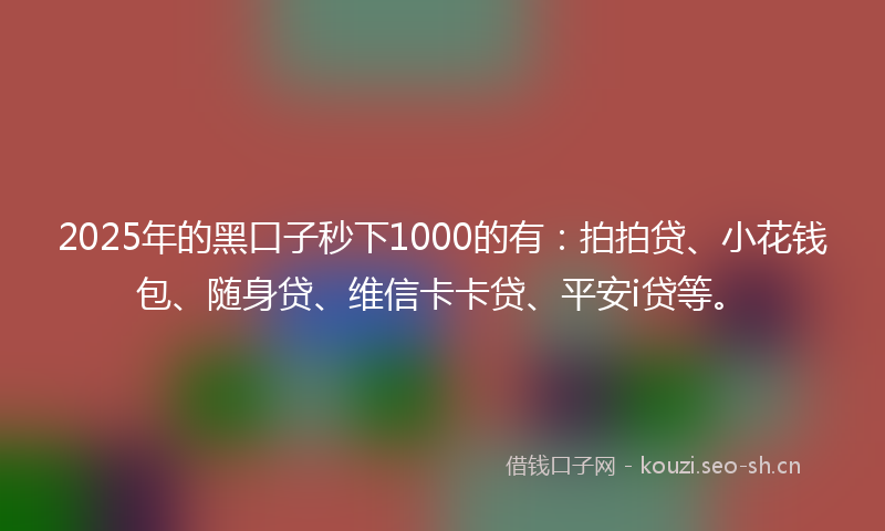 2025年的黑口子秒下1000的有：拍拍贷、小花钱包、随身贷、维信卡卡贷、平安i贷等。