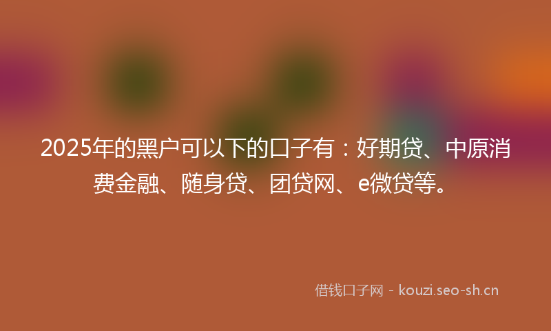 2025年的黑户可以下的口子有：好期贷、中原消费金融、随身贷、团贷网、e微贷等。