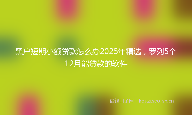黑户短期小额贷款怎么办2025年精选，罗列5个12月能贷款的软件