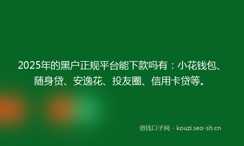2025年的黑户正规平台能下款吗有：小花钱包、随身贷、安逸花、投友圈、信用卡贷等。