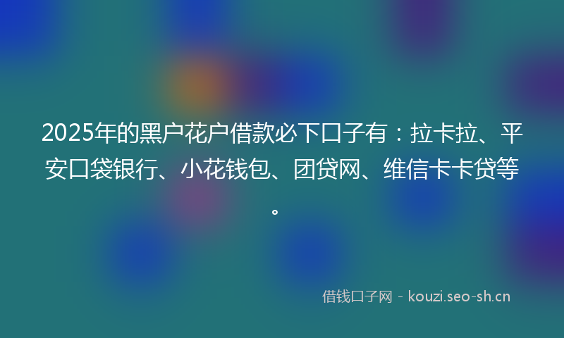 2025年的黑户花户借款必下口子有：拉卡拉、平安口袋银行、小花钱包、团贷网、维信卡卡贷等。
