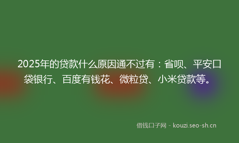 2025年的贷款什么原因通不过有：省呗、平安口袋银行、百度有钱花、微粒贷、小米贷款等。