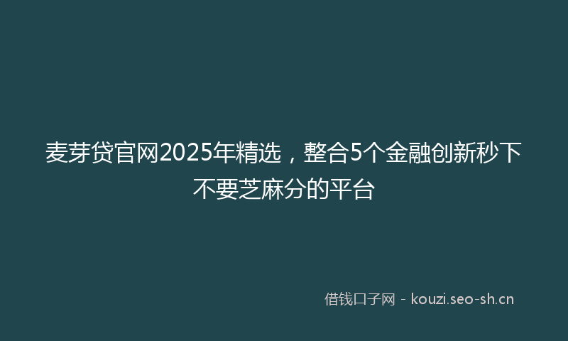 麦芽贷官网2025年精选，整合5个金融创新秒下不要芝麻分的平台