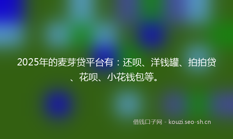2025年的麦芽贷平台有：还呗、洋钱罐、拍拍贷、花呗、小花钱包等。
