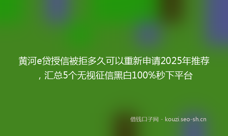 黄河e贷授信被拒多久可以重新申请2025年推荐，汇总5个无视征信黑白100%秒下平台
