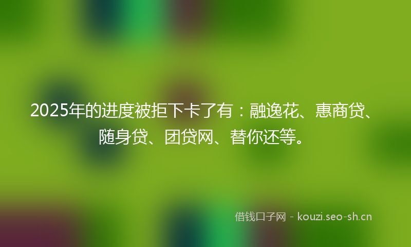 2025年的进度被拒下卡了有：融逸花、惠商贷、随身贷、团贷网、替你还等。