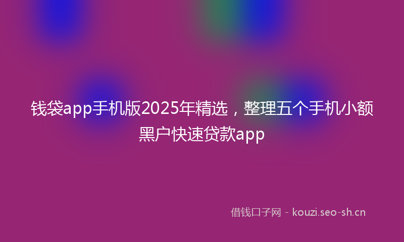 钱袋app手机版2025年精选，整理五个手机小额黑户快速贷款app