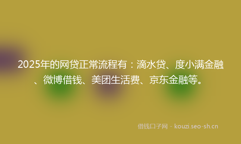 2025年的网贷正常流程有：滴水贷、度小满金融、微博借钱、美团生活费、京东金融等。