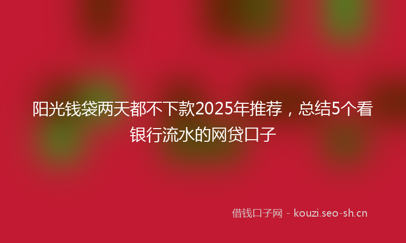 阳光钱袋两天都不下款2025年推荐，总结5个看银行流水的网贷口子