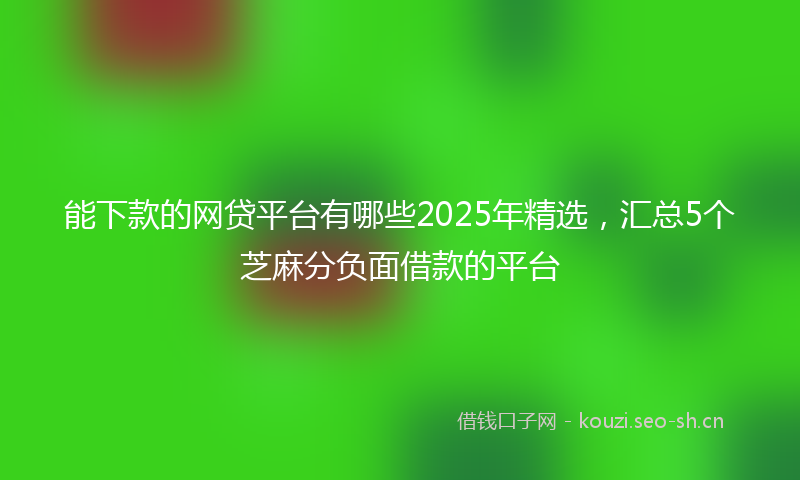 能下款的网贷平台有哪些2025年精选，汇总5个芝麻分负面借款的平台