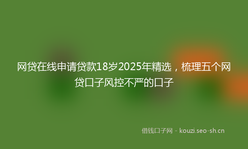 网贷在线申请贷款18岁2025年精选，梳理五个网贷口子风控不严的口子