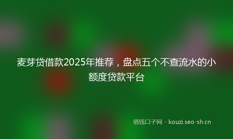 麦芽贷借款2025年推荐，盘点五个不查流水的小额度贷款平台