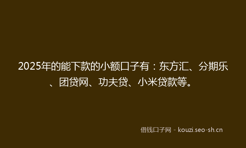 2025年的能下款的小额口子有：东方汇、分期乐、团贷网、功夫贷、小米贷款等。