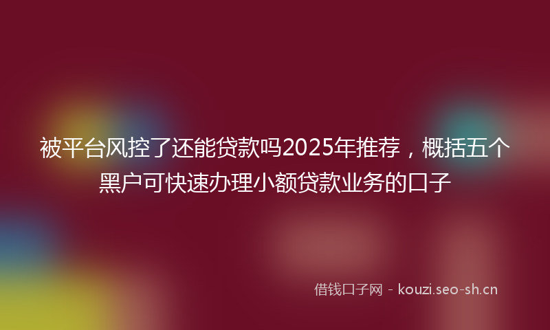 被平台风控了还能贷款吗2025年推荐，概括五个黑户可快速办理小额贷款业务的口子