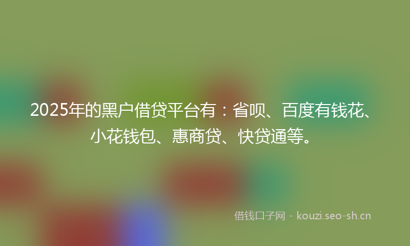 2025年的黑户借贷平台有：省呗、百度有钱花、小花钱包、惠商贷、快贷通等。