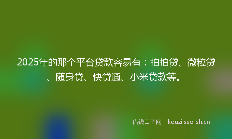 2025年的那个平台贷款容易有：拍拍贷、微粒贷、随身贷、快贷通、小米贷款等。