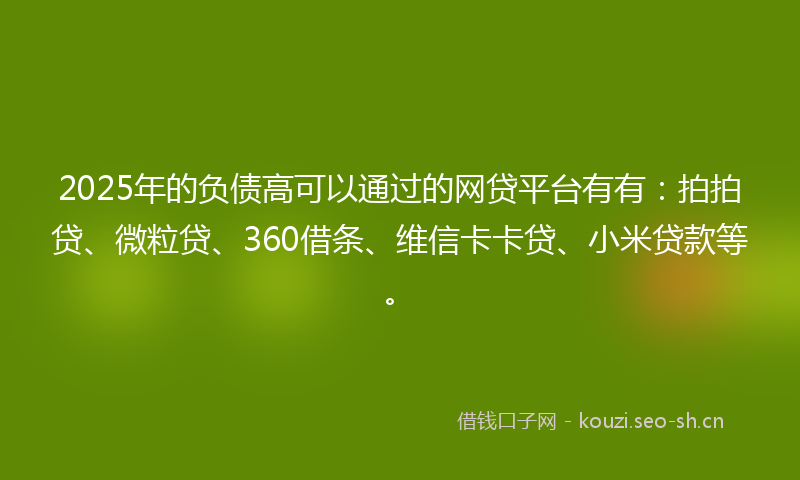 2025年的负债高可以通过的网贷平台有有：拍拍贷、微粒贷、360借条、维信卡卡贷、小米贷款等。