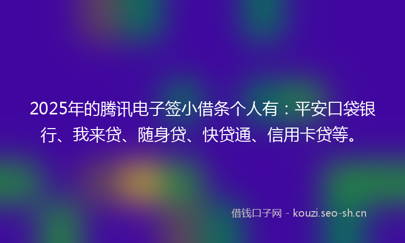 2025年的腾讯电子签小借条个人有：平安口袋银行、我来贷、随身贷、快贷通、信用卡贷等。
