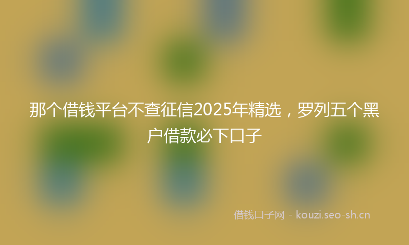 那个借钱平台不查征信2025年精选，罗列五个黑户借款必下口子