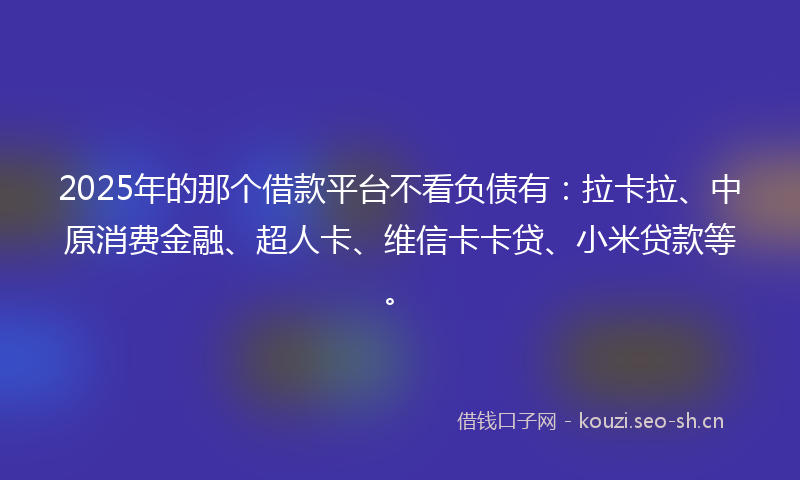 2025年的那个借款平台不看负债有：拉卡拉、中原消费金融、超人卡、维信卡卡贷、小米贷款等。