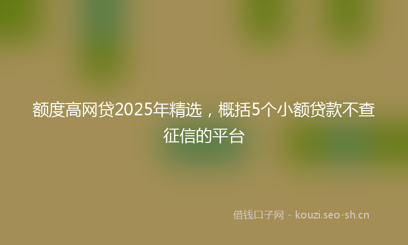 额度高网贷2025年精选，概括5个小额贷款不查征信的平台