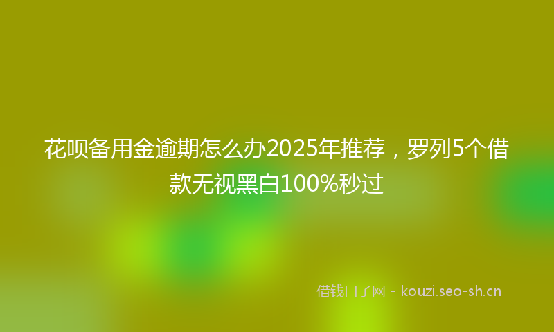 花呗备用金逾期怎么办2025年推荐，罗列5个借款无视黑白100%秒过
