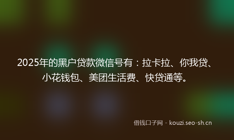 2025年的黑户贷款微信号有：拉卡拉、你我贷、小花钱包、美团生活费、快贷通等。