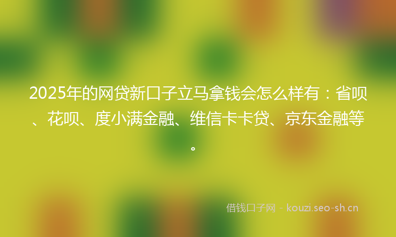 2025年的网贷新口子立马拿钱会怎么样有：省呗、花呗、度小满金融、维信卡卡贷、京东金融等。