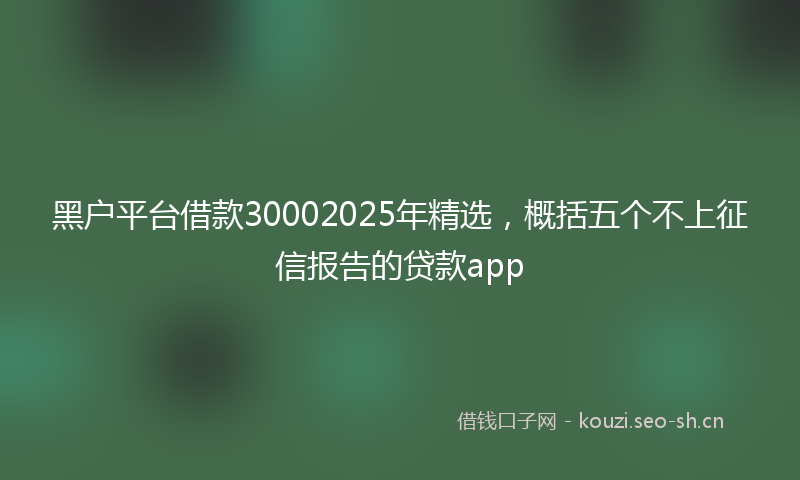 黑户平台借款30002025年精选，概括五个不上征信报告的贷款app