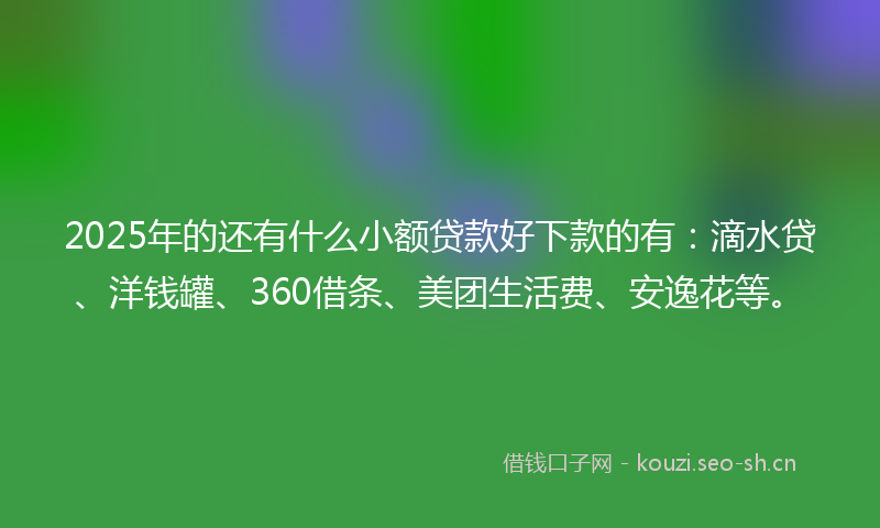 2025年的还有什么小额贷款好下款的有：滴水贷、洋钱罐、360借条、美团生活费、安逸花等。