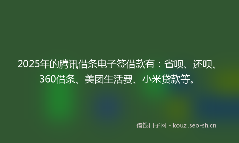 2025年的腾讯借条电子签借款有：省呗、还呗、360借条、美团生活费、小米贷款等。