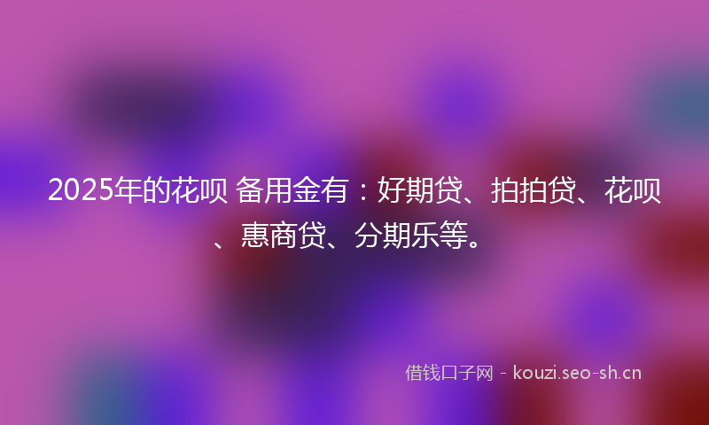 2025年的花呗 备用金有：好期贷、拍拍贷、花呗、惠商贷、分期乐等。