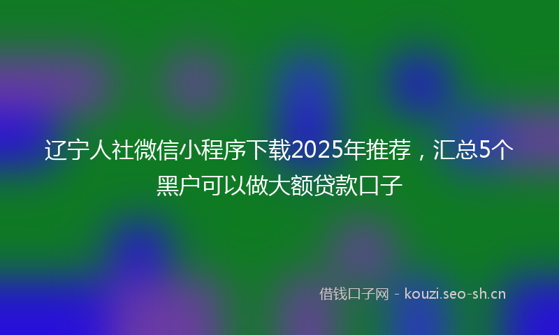 辽宁人社微信小程序下载2025年推荐，汇总5个黑户可以做大额贷款口子