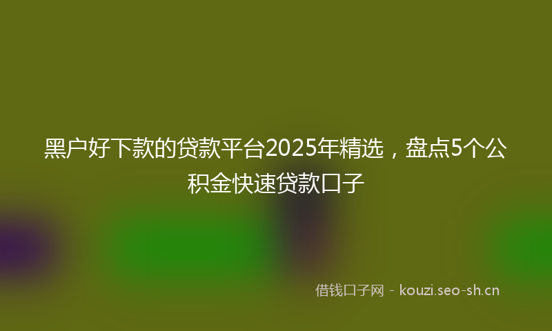 黑户好下款的贷款平台2025年精选，盘点5个公积金快速贷款口子