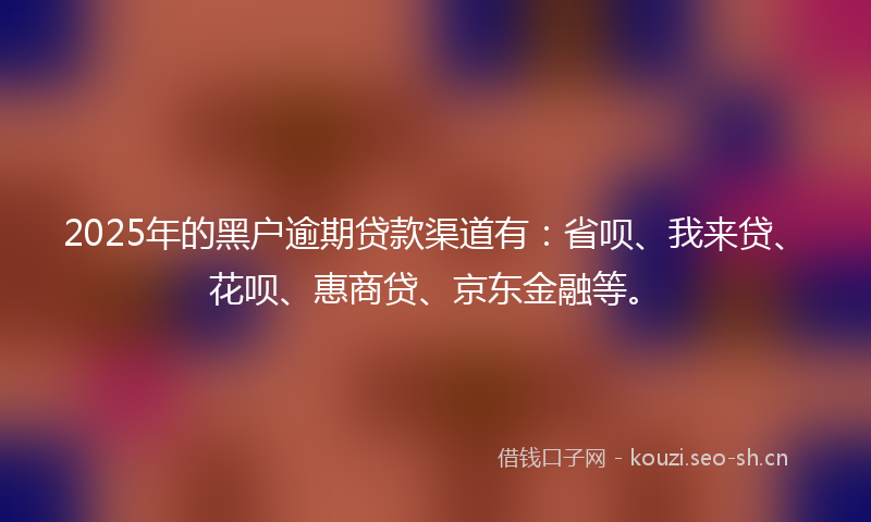 2025年的黑户逾期贷款渠道有：省呗、我来贷、花呗、惠商贷、京东金融等。