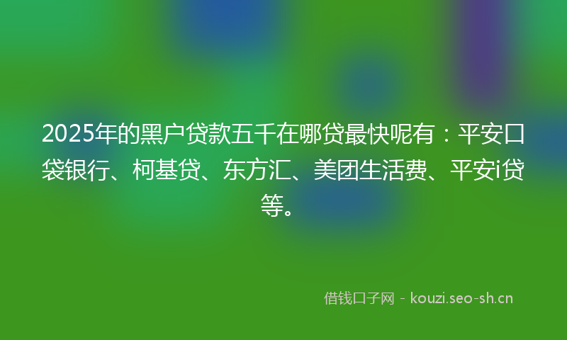 2025年的黑户贷款五千在哪贷最快呢有：平安口袋银行、柯基贷、东方汇、美团生活费、平安i贷等。