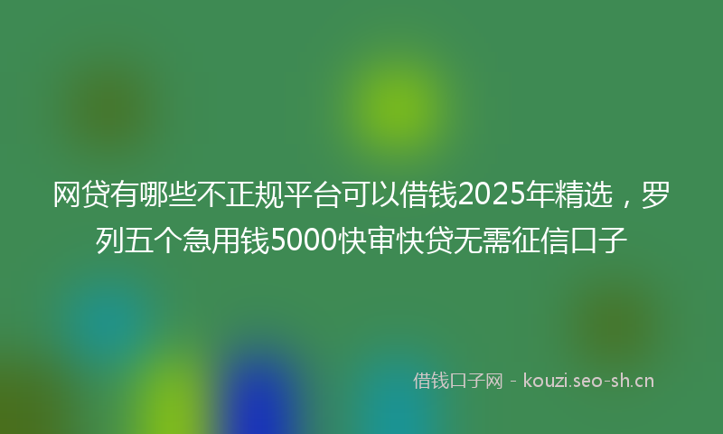网贷有哪些不正规平台可以借钱2025年精选，罗列五个急用钱5000快审快贷无需征信口子